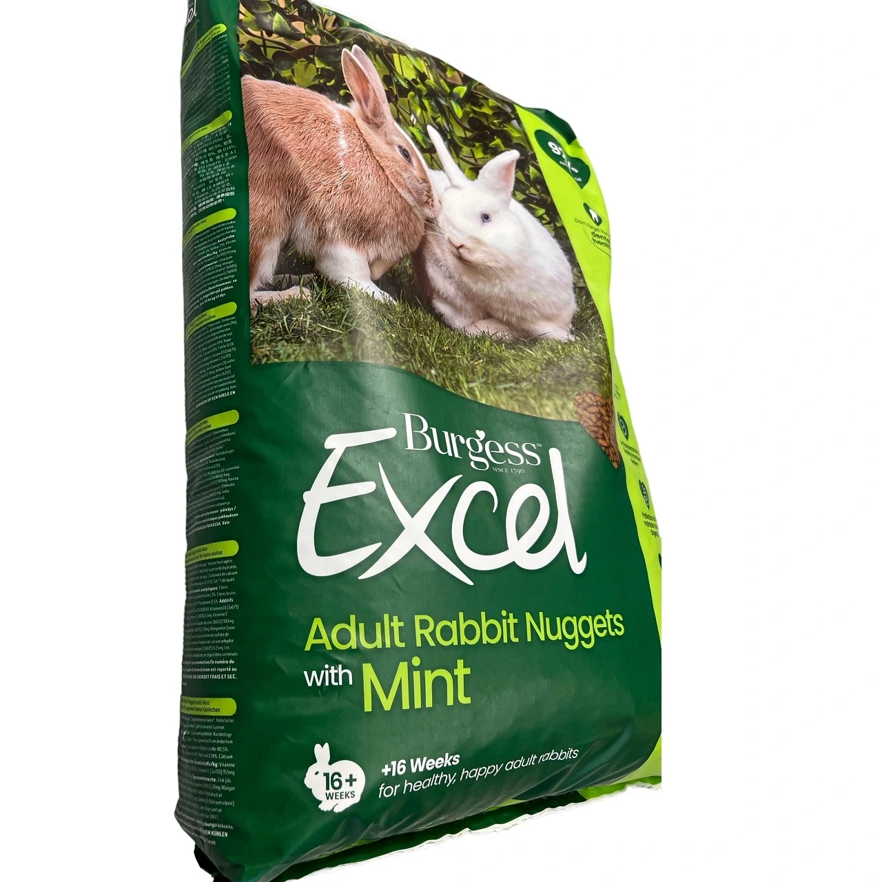 Burgess Excel Kaninfoder Mint 10 kg - voksen kanin